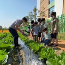 옥빛초등학교 이미지