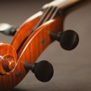 미라바이올린학원 이미지