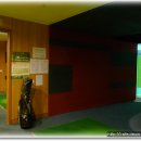 feel 스크린골프 이미지