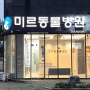 미르 동물병원 이미지