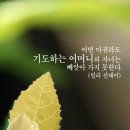 좋은문구 이미지