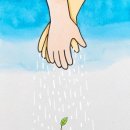 신부넷 Daum카페