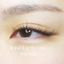 왕눈이속눈썹
