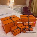 마금장 | 에르메스 피코탄22 골드 금장 &amp; 에토프 금장 워크인 후기