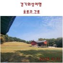 멍석마당 | 조선왕릉. 화성 융릉과 건릉. 왕릉의 숲길을 걷다.