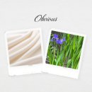 (주)비누소프트 이미지