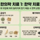 양성한의원 이미지