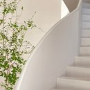 오아이커피(OI coffee) 이미지