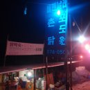 비엔날레포도원
