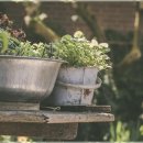 365다시재한방병원 | 건강한 삶을 위한 호흡법 이렇게 해봐요