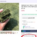 대월떡집 이미지