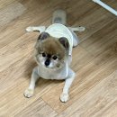 고을축산물프라자 이미지