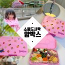 다정유치원 | 소풍 도시락 얌박스 타파스 에버랜드 나들이 후기 ft. 유치원 피크닉 도시락 예행연습