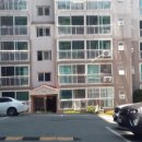 삼오르네상스 이미지