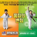 정진태권도장 이미지