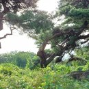 능성경로당 이미지