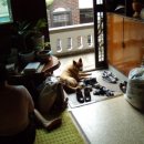 전이랑 순이랑 이미지