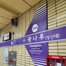버디프랜드 | 250621 스파이에어 버디 아시아 투어 첫콘 후기 🎸