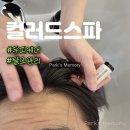 이마트에브리데이 세종다정점 | 세종 다정동 미용실 두피관리 컬러드스파 세종다정점