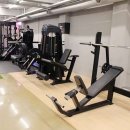 머슬엑스짐 이미지