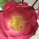 종이접기 & 한지 꽃 공예 이미지