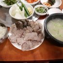 중앙돼지