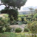 정림보건진료소 이미지