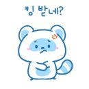 고양이아울렛