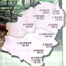 희망공원-공원로 이미지