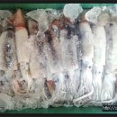 3월 6일 판매생선.... 물오징어, 홍어회, 명란젓, 건조생선 이미지