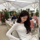 🎀 25SS 여름 옷 신상 위시리스트 ( 타낫, 르플레인, 샵리즈 Leeds , 리본빛)