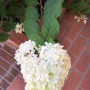 씨유계동현대점 이미지