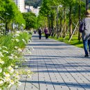 문화공원 북측 이미지