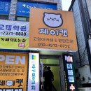 구미 고양이카페 분양 제이캣 이미지