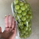 본리농원 이미지