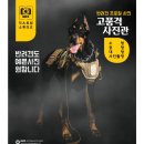 GXD익스트림스튜디오