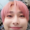 곰비임비