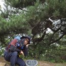 포스코'근교'산악회와 함께한 동서트레일6구간 후기 이미지