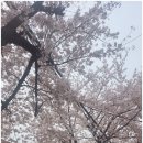 하나미의원 이미지