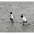 강화바다 이미지