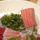 참치21 이미지