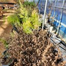 한이농장 이미지