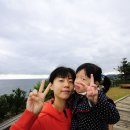 지효목장 티스토리