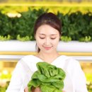 가장농장 이미지