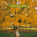 세븐일레븐 인천문학공원점 | 혼자가기 좋은 인천 명소, 장수동 은행나무 &amp; 가장 예쁜 투썸 추천!