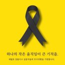 노란리본 의미 - 노란리본, 검정리본 구분해서 사용 하세요! 이미지