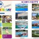 도그베이 동탄호수공원점 이미지