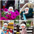 아가숲어린이집 이미지