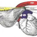 원주24시스카이동물메디컬센터 이미지