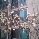 은이네집 이미지